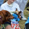 dog walk 2013-5181